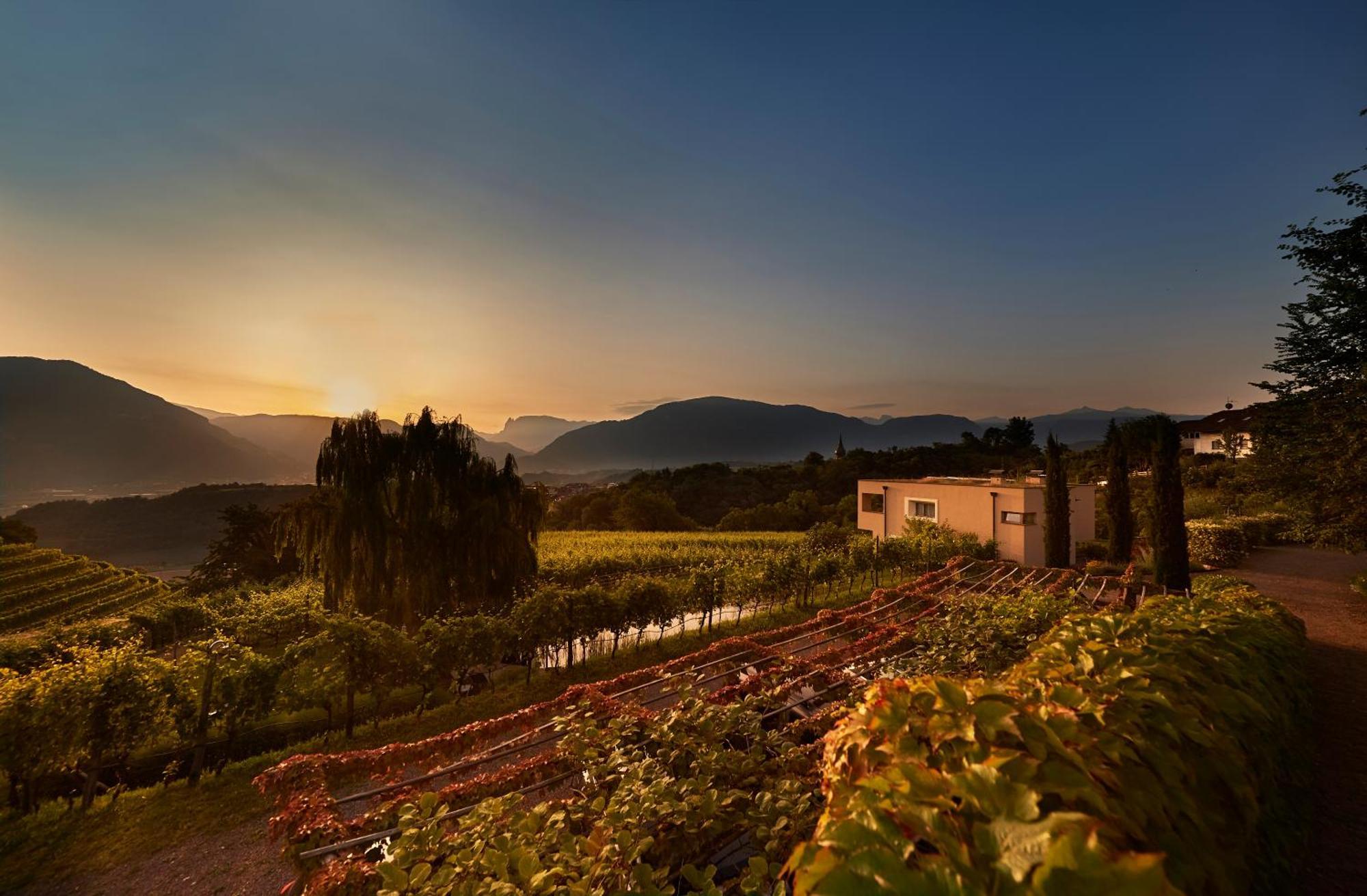 Weingut Stuck Appiano Sulla Strada Del Vino Exterior foto